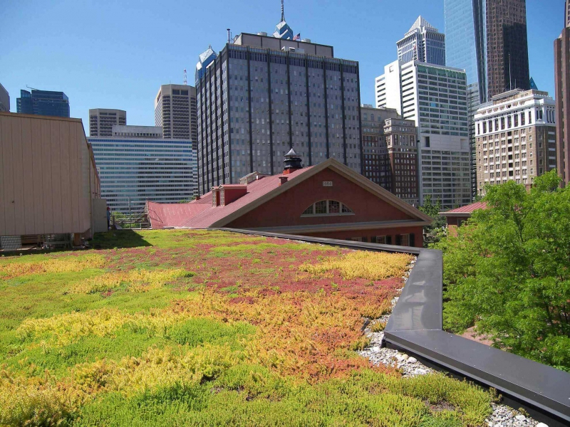 paysagiste-THEOULE SUR MER-min_green-roof-portfolio-4